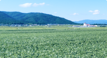 市街化調整区域
